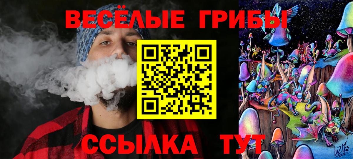 Галлюциногенные грибы Magic Shrooms Каменка