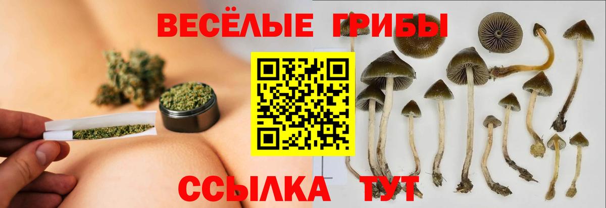 Галлюциногенные грибы ЛСД  Вход с VPN  Каменка  Псилоцибиновые грибы Magic Shrooms 